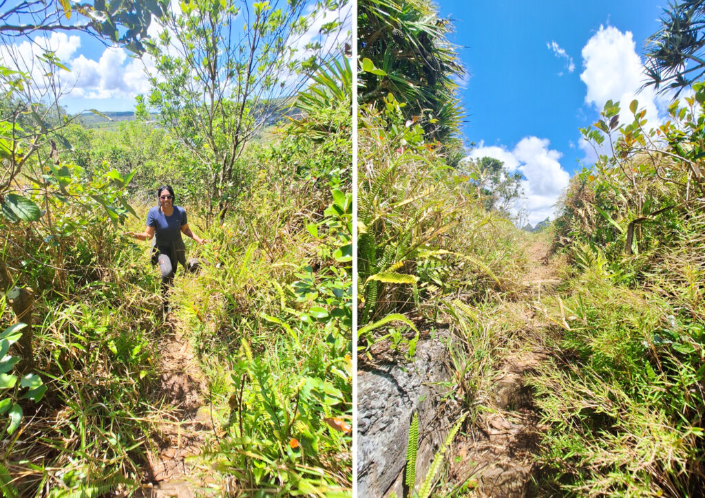 Deux Mamelles Hike Mauritius