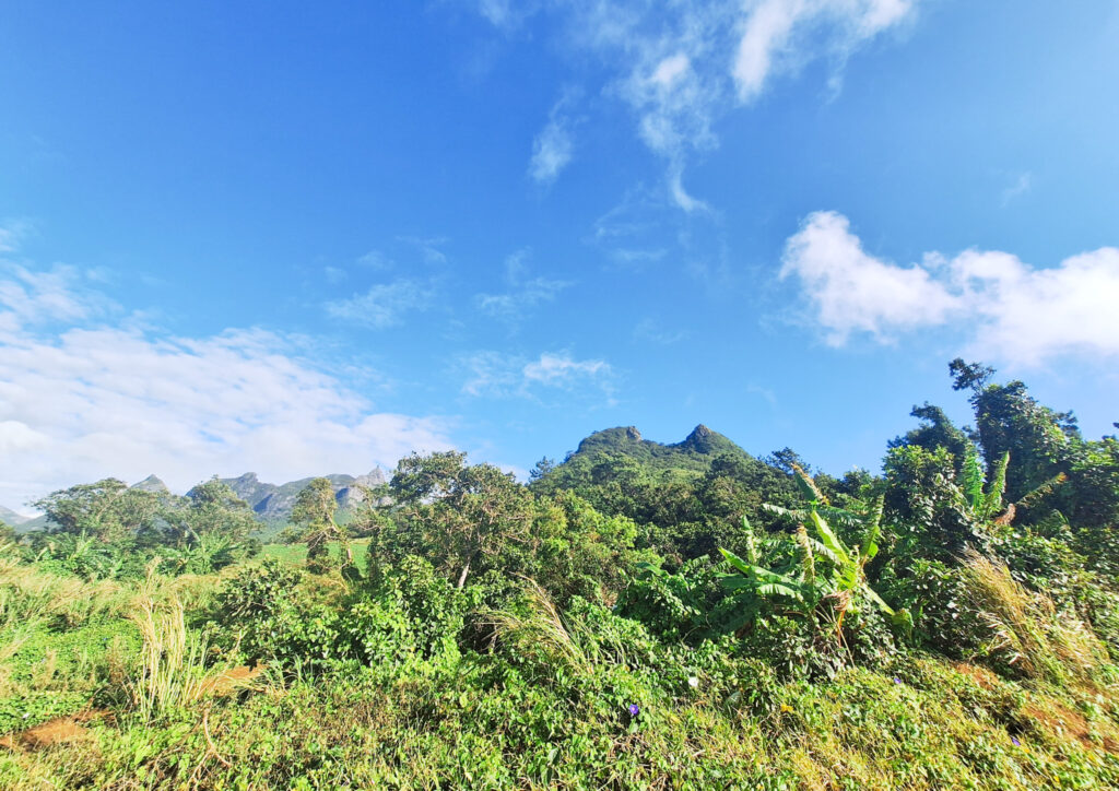 Deux Mamelles Hike Mauritius